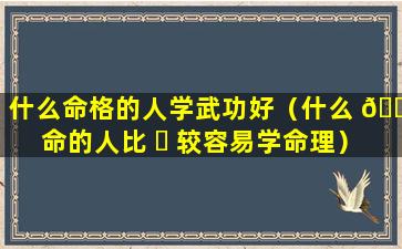 什么命格的人学武功好（什么 🌴 命的人比 ☘ 较容易学命理）